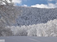 2017-12-29 V. del Morretano 172